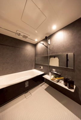 ���d�l�ʐ^(�����j�@-