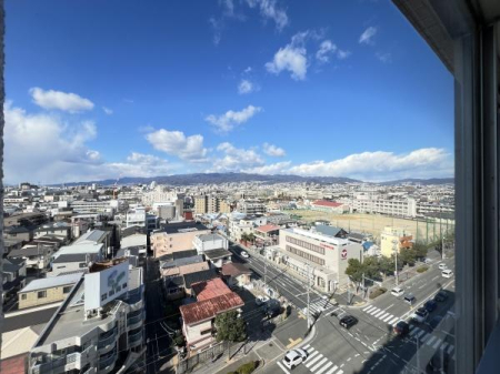 �Z�˂���̒��]�ʐ^�@-