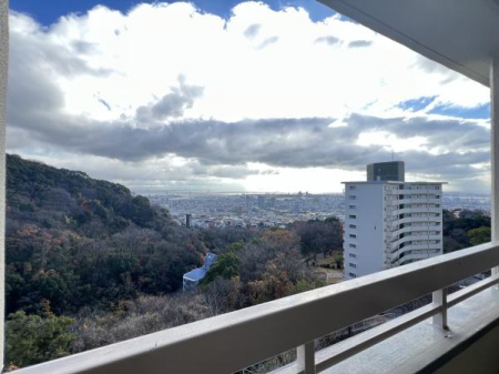 �Z�˂���̒��]�ʐ^�@���ɊJ�����̂��钭�]�ł��I�΂Ɉ͂܂ꂽ��C���Y��Ȋ��ł�