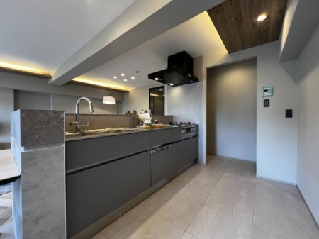 ���f�����[���ʐ^�@-