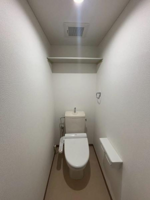 �g�C���@-